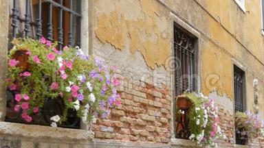 威尼斯，意大利，2017年9月7日：所谓威尼斯或意大利建筑，美丽的老式<strong>玻璃窗</strong>，<strong>绿色</strong>